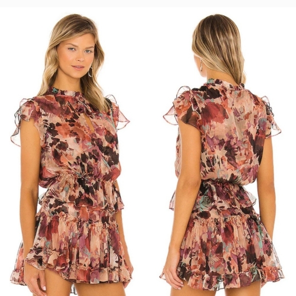 Misa Los Angeles Lilian dress in Floridream flora size xs - Picture 3 of 14